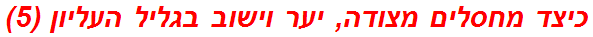 כיצד מחסלים מצודה, יער וישוב בגליל העליון (5)