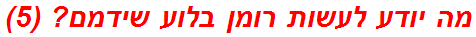 מה יודע לעשות רומן בלוע שידמם? (5)