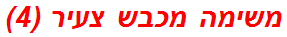 משימה מכבש צעיר (4)