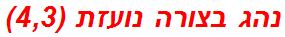 נהג בצורה נועזת (4,3)