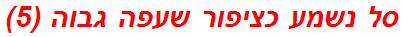 סל נשמע כציפור שעפה גבוה (5)