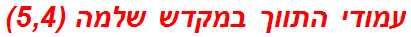 עמודי התווך במקדש שלמה (5,4)