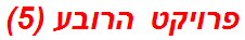 פרויקט הרובע (5)