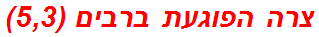 צרה הפוגעת ברבים (5,3)