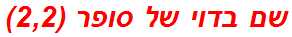 שם בדוי של סופר (2,2)