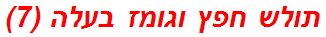 תולש חפץ וגומז בעלה (7)