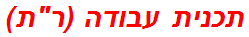 תכנית עבודה (רת)