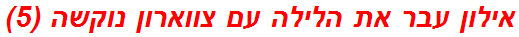 אילון עבר את הלילה עם צווארון נוקשה (5)