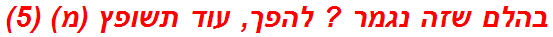 בהלם שזה נגמר ? להפך, עוד תשופץ (מ) (5)