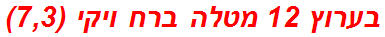 בערוץ 12 מטלה ברח ויקי (7,3)