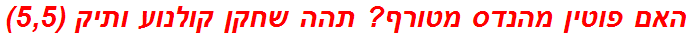 האם פוטין מהנדס מטורף? תהה שחקן קולנוע ותיק (5,5)