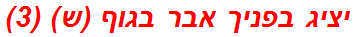 יציג בפניך אבר בגוף (ש) (3)