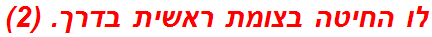 לו החיטה בצומת ראשית בדרך. (2)