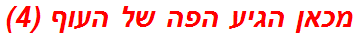 מכאן הגיע הפה של העוף (4)