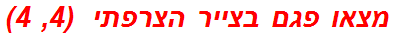 מצאו פגם בצייר הצרפתי  (4, 4)