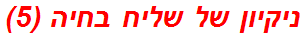 ניקיון של שליח בחיה (5)