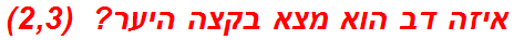 איזה דב הוא מצא בקצה היער?  (2,3)