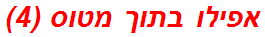 אפילו בתוך מטוס (4)