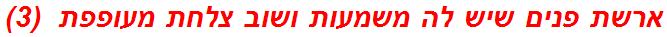 ארשת פנים שיש לה משמעות ושוב צלחת מעופפת  (3)