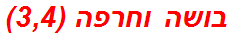 בושה וחרפה (3,4)