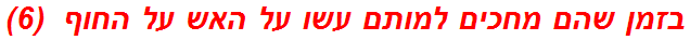 בזמן שהם מחכים למותם עשו על האש על החוף  (6)