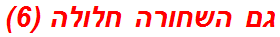 גם השחורה חלולה (6)