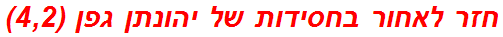 חזר לאחור בחסידות של יהונתן גפן (4,2)