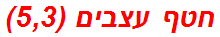 חטף עצבים (5,3)