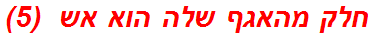 חלק מהאגף שלה הוא אש  (5)