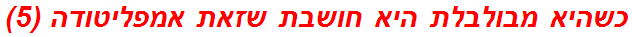 כשהיא מבולבלת היא חושבת שזאת אמפליטודה (5)