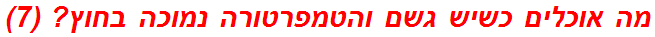 מה אוכלים כשיש גשם והטמפרטורה נמוכה בחוץ? (7)