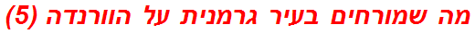 מה שמורחים בעיר גרמנית על הוורנדה (5)