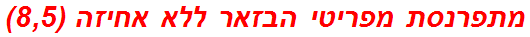 מתפרנסת מפריטי הבזאר ללא אחיזה (8,5)