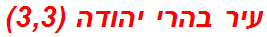 עיר בהרי יהודה (3,3)