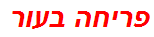 פריחה בעור