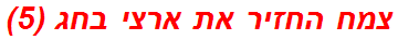 צמח החזיר את ארצי בחג (5)