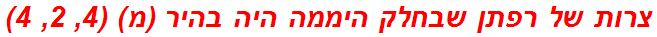 צרות של רפתן שבחלק היממה היה בהיר (מ) (4, 2, 4)