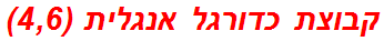 קבוצת כדורגל אנגלית (4,6)