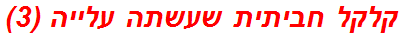 קלקל חביתית שעשתה עלייה (3)