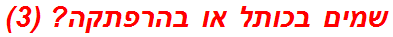 שמים בכותל או בהרפתקה? (3)