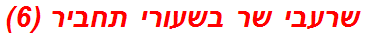 שרעבי שר בשעורי תחביר (6)