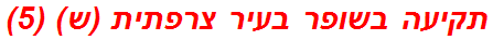 תקיעה בשופר בעיר צרפתית (ש) (5)