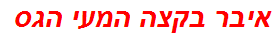 איבר בקצה המעי הגס