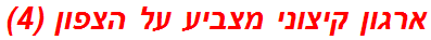 ארגון קיצוני מצביע על הצפון (4)