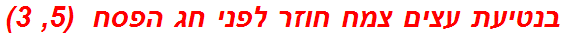 בנטיעת עצים צמח חוזר לפני חג הפסח  (5, 3)