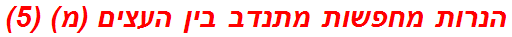 הנרות מחפשות מתנדב בין העצים (מ) (5)