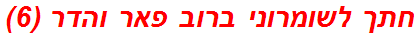 חתך לשומרוני ברוב פאר והדר (6)