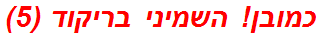 כמובן! השמיני בריקוד (5)