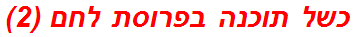 כשל תוכנה בפרוסת לחם (2)