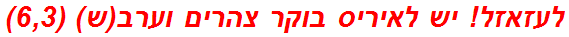 לעזאזל! יש לאיריס בוקר צהרים וערב(ש) (6,3)